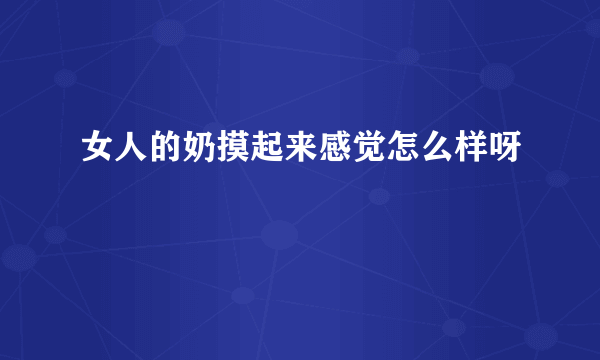 女人的奶摸起来感觉怎么样呀