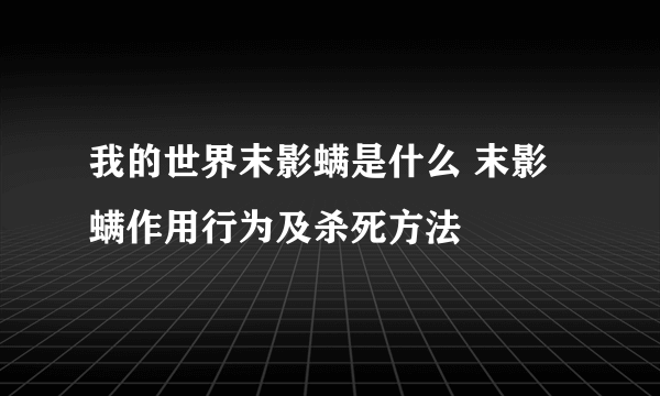 我的世界末影螨是什么 末影螨作用行为及杀死方法