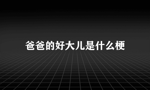 爸爸的好大儿是什么梗