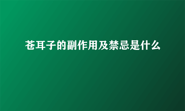 苍耳子的副作用及禁忌是什么