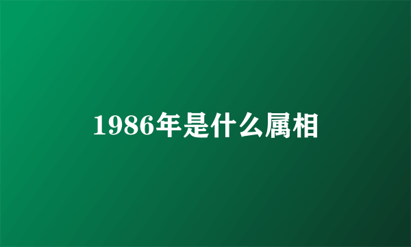 1986年是什么属相