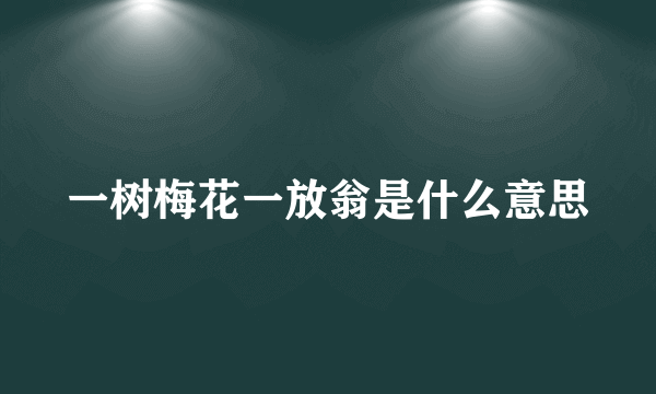 一树梅花一放翁是什么意思