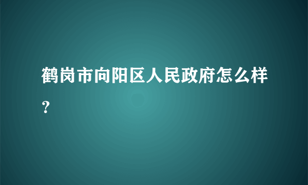 鹤岗市向阳区人民政府怎么样？