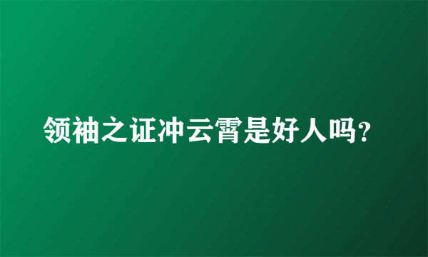 领袖之证冲云霄是好人吗？