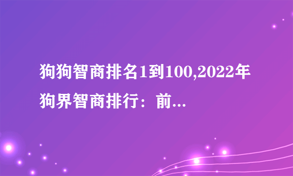 狗狗智商排名1到100,2022年狗界智商排行：前三的都是“狗精”