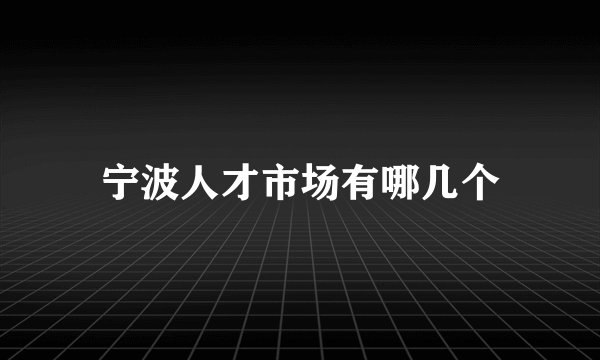 宁波人才市场有哪几个