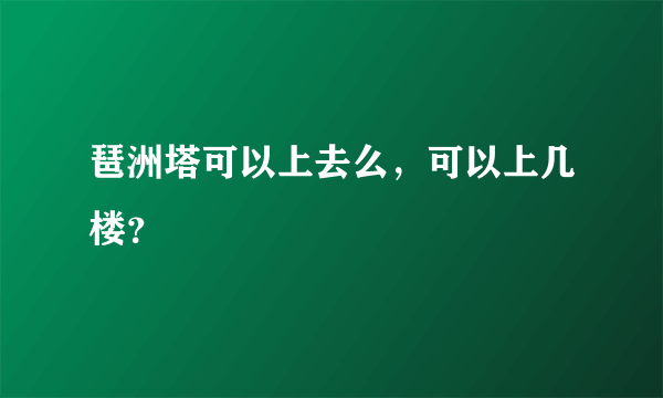 琶洲塔可以上去么，可以上几楼？