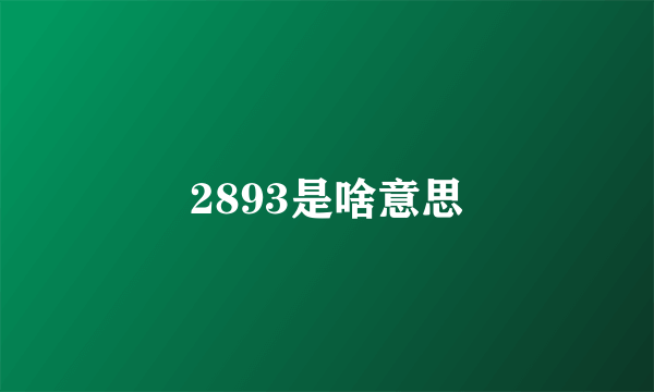 2893是啥意思