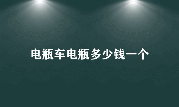 电瓶车电瓶多少钱一个