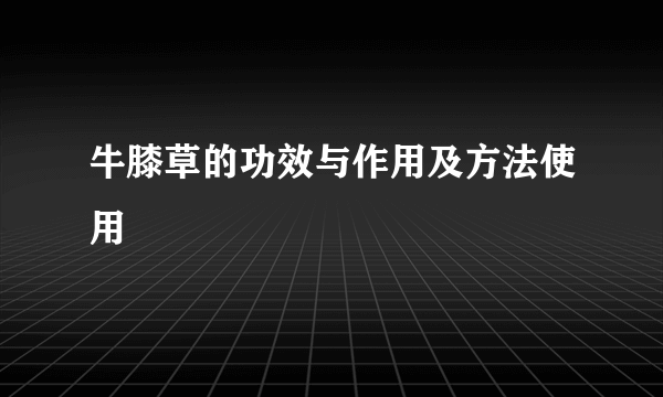 牛膝草的功效与作用及方法使用