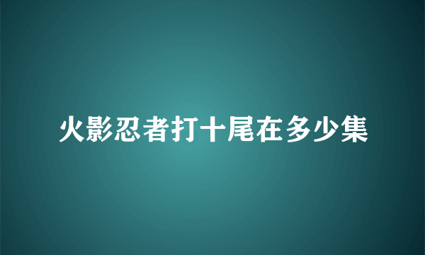 火影忍者打十尾在多少集