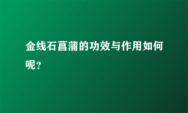 金线石菖蒲的功效与作用如何呢？