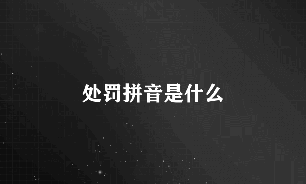 处罚拼音是什么