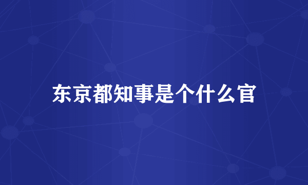 东京都知事是个什么官