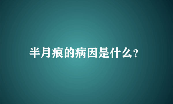 半月痕的病因是什么？