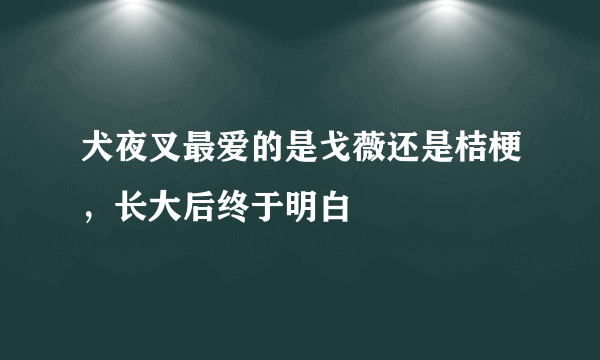 犬夜叉最爱的是戈薇还是桔梗，长大后终于明白