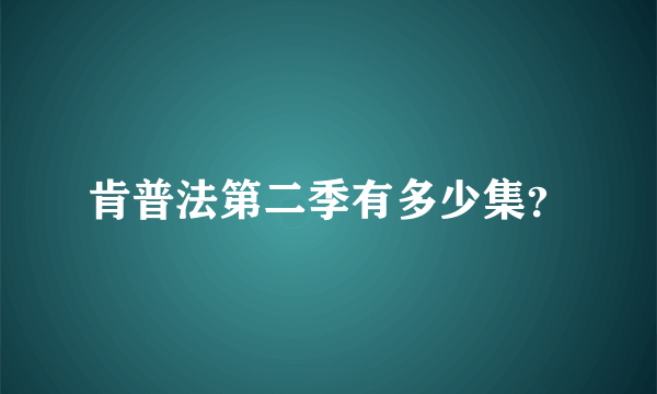 肯普法第二季有多少集？