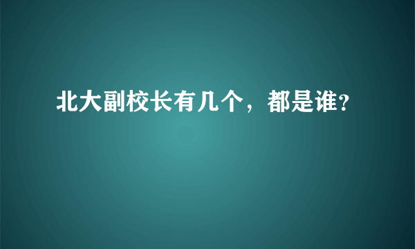 北大副校长有几个，都是谁？