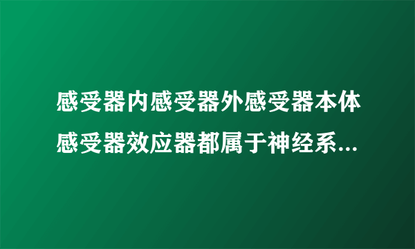 感受器内感受器外感受器本体感受器效应器都属于神经系...