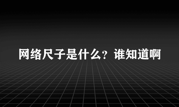 网络尺子是什么？谁知道啊