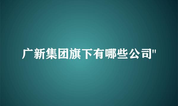 广新集团旗下有哪些公司