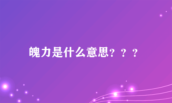 魄力是什么意思？？？