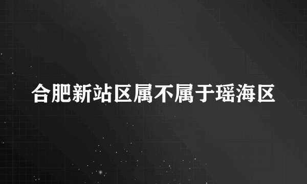 合肥新站区属不属于瑶海区