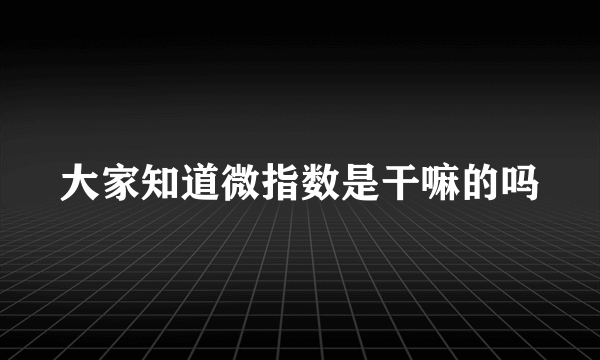 大家知道微指数是干嘛的吗