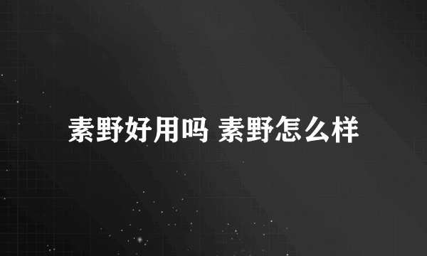 素野好用吗 素野怎么样