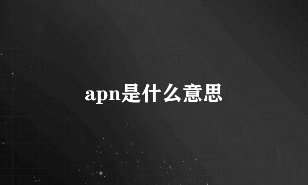 apn是什么意思