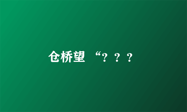 仓桥望 “？？？