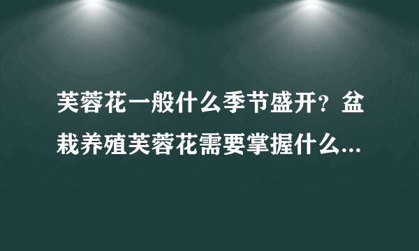 芙蓉花一般什么季节盛开？盆栽养殖芙蓉花需要掌握什么技术要点？