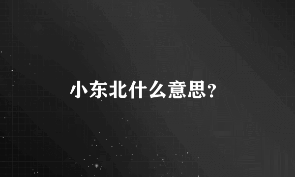 小东北什么意思？