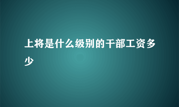 上将是什么级别的干部工资多少