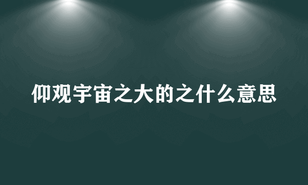 仰观宇宙之大的之什么意思