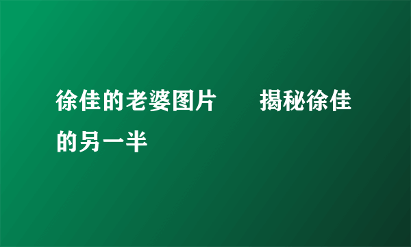 徐佳的老婆图片      揭秘徐佳的另一半