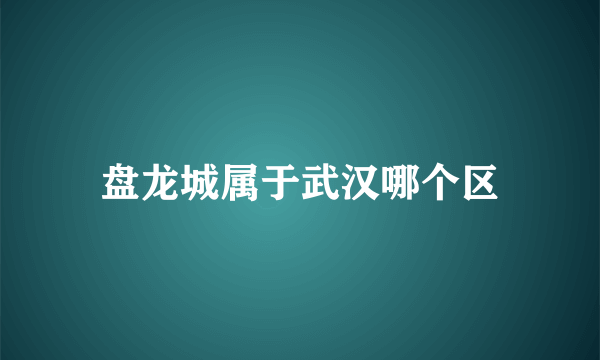 盘龙城属于武汉哪个区