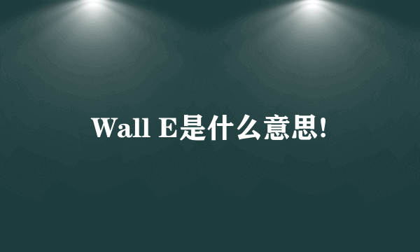 Wall E是什么意思!