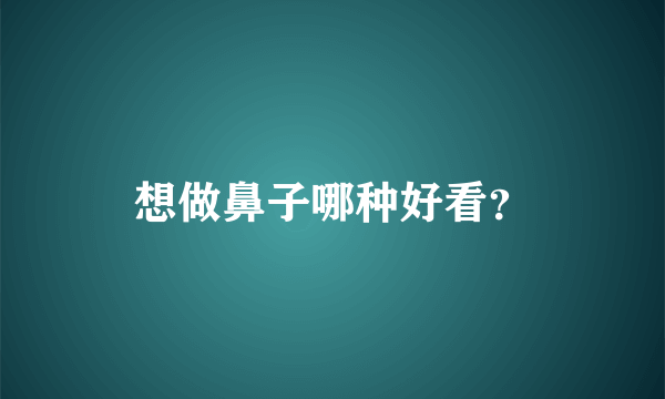 想做鼻子哪种好看？