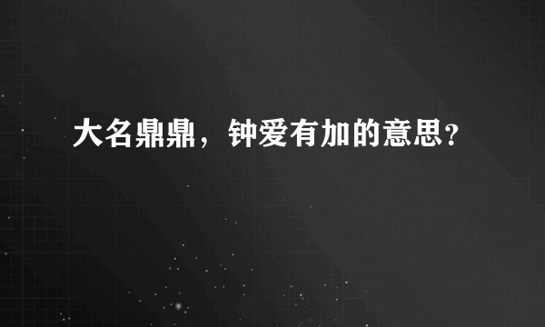 大名鼎鼎，钟爱有加的意思？