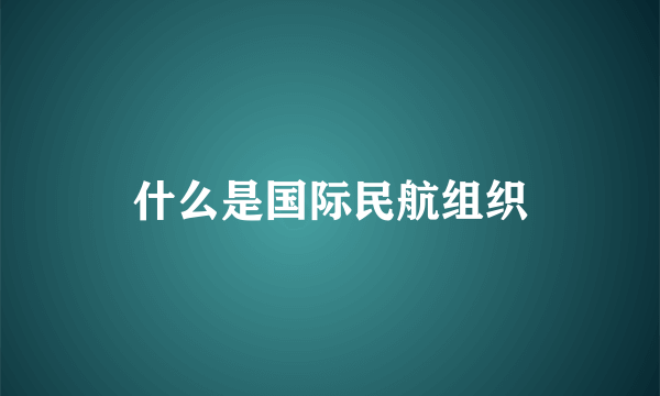 什么是国际民航组织