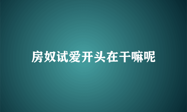 房奴试爱开头在干嘛呢