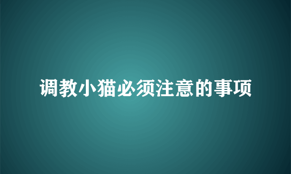 调教小猫必须注意的事项