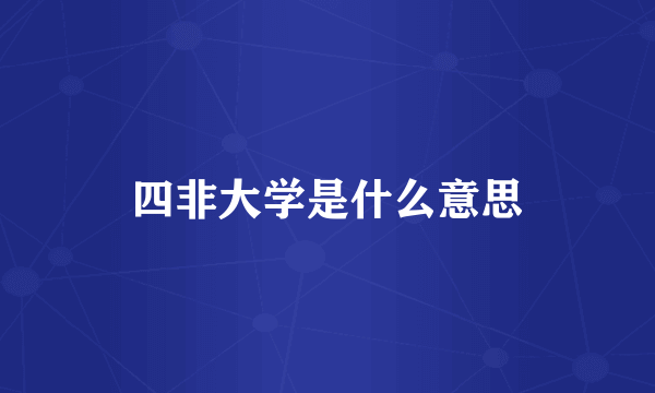 四非大学是什么意思