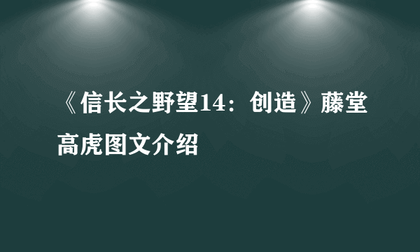 《信长之野望14：创造》藤堂高虎图文介绍