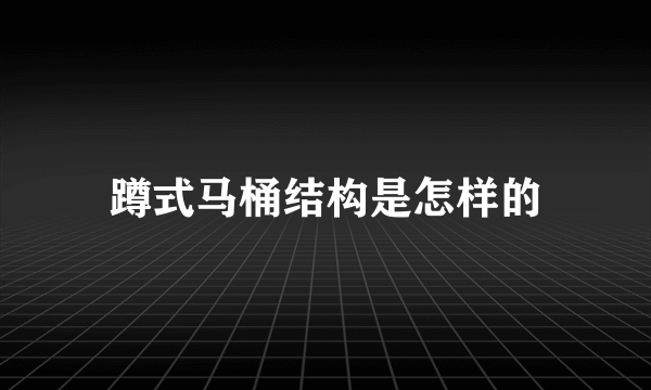 蹲式马桶结构是怎样的