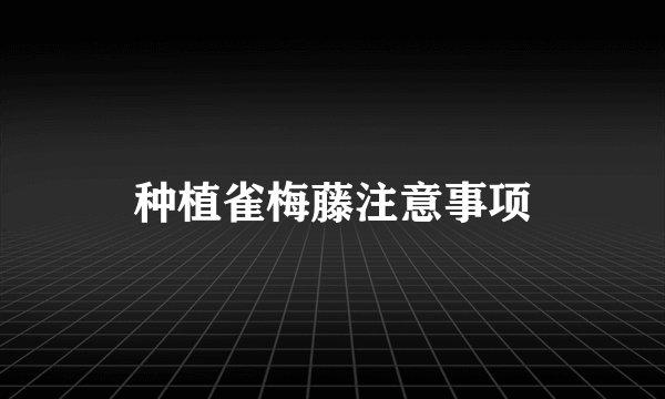 种植雀梅藤注意事项