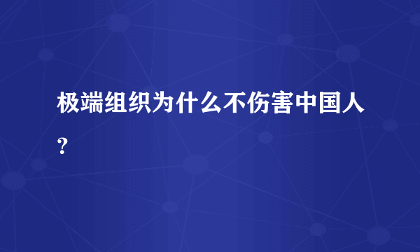 极端组织为什么不伤害中国人？