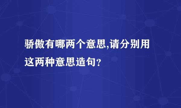 骄傲有哪两个意思,请分别用这两种意思造句？