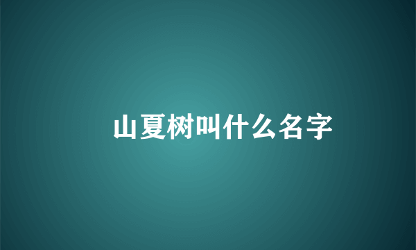 畑山夏树叫什么名字